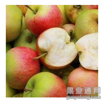 津轻系
