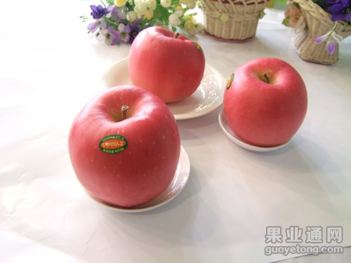 陆奥苹果