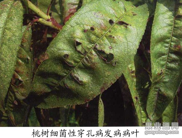 20110128062720850.jpg