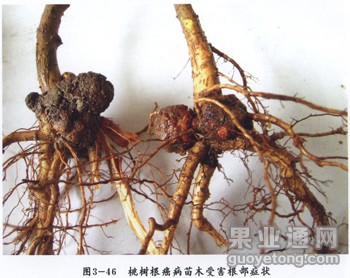2010092116115585216.jpg