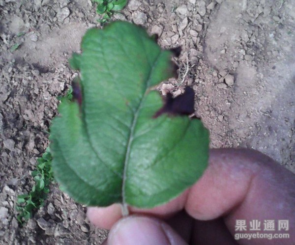 QQ图片20140514160759.jpg