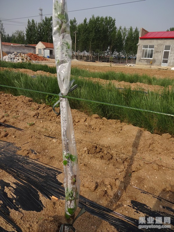 DSC00819_副本.jpg
