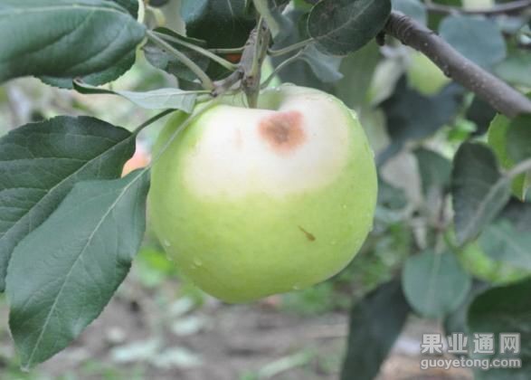 download20140519025240.jpg