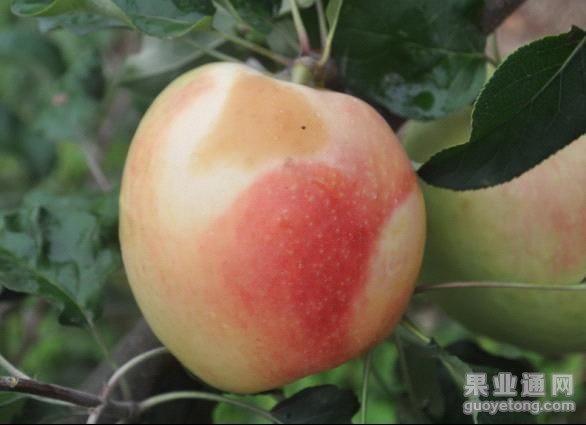 download20140519025359.jpg