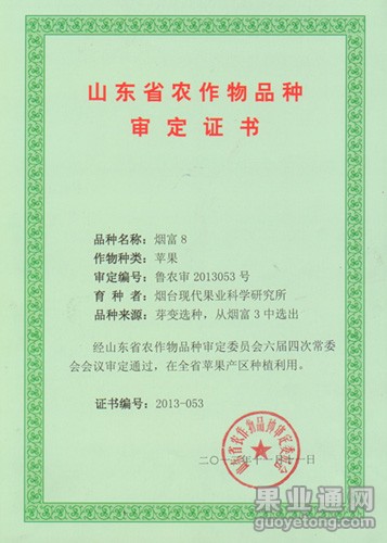 111.jpg