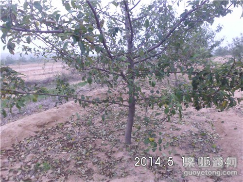 QQ图片20140522082637_副本.jpg