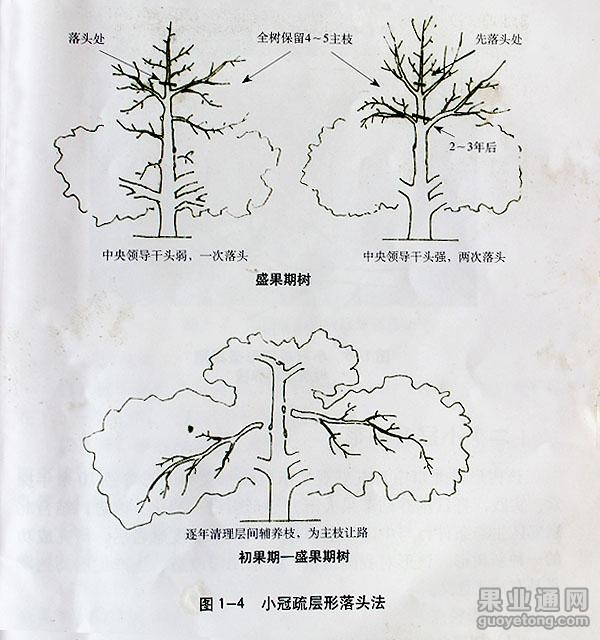 图片3.jpg