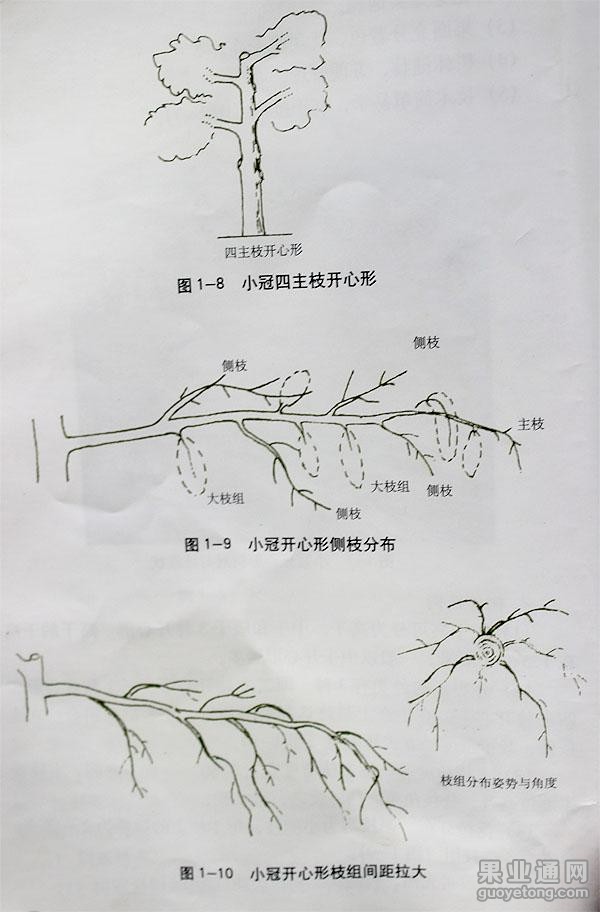 图片6.jpg