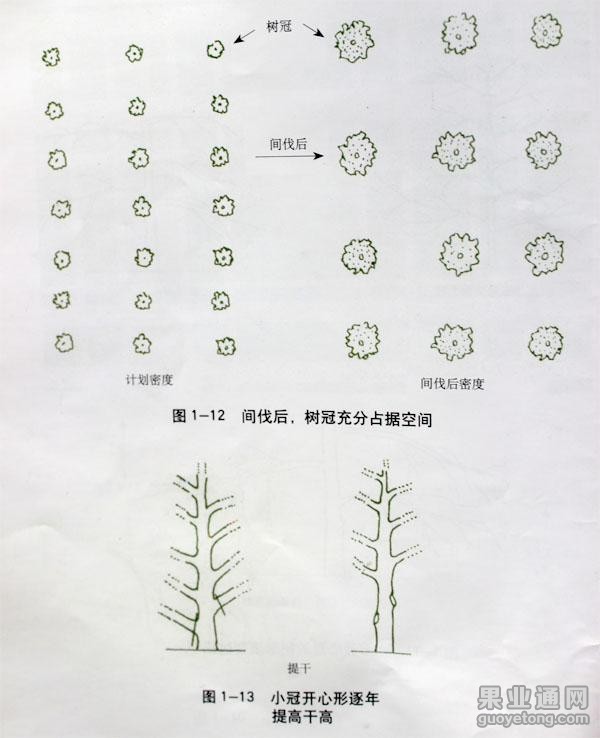 图片8.jpg