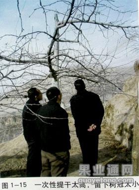 图片10.jpg