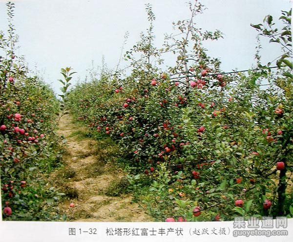 图片25.jpg