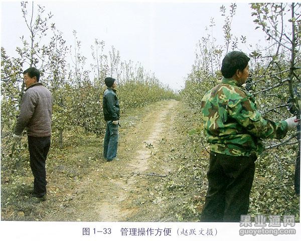 图片26.jpg