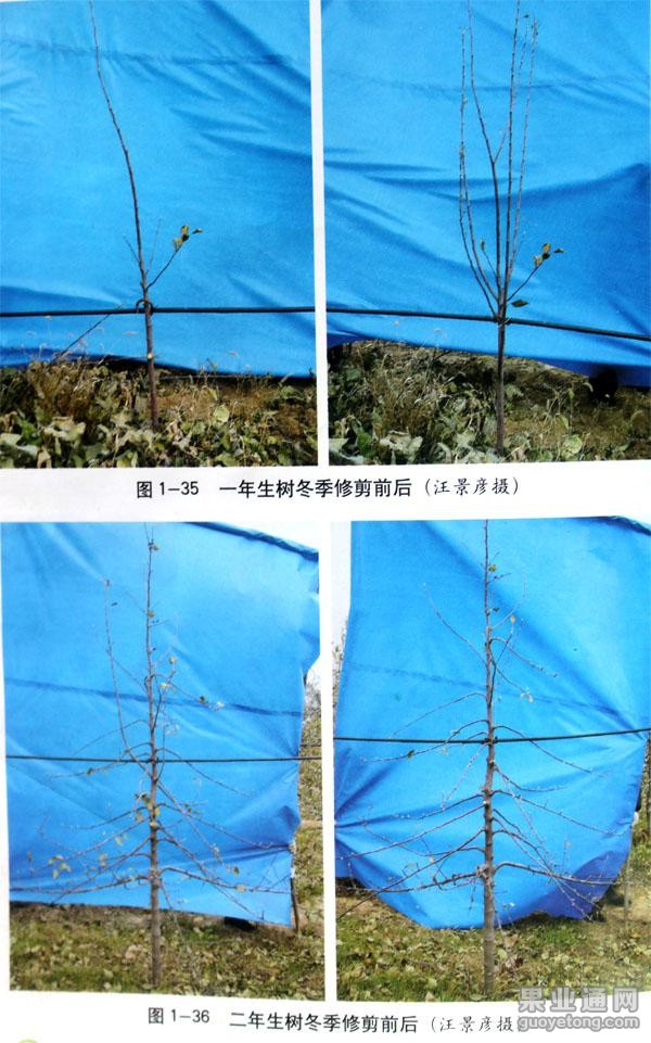图片27.jpg