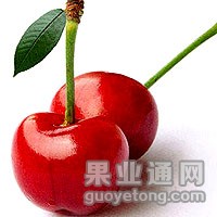 t019a3661cf0d098dd6.jpg
