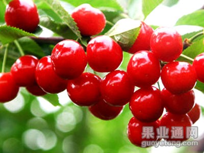 t0146bcd36abcc47219.jpg