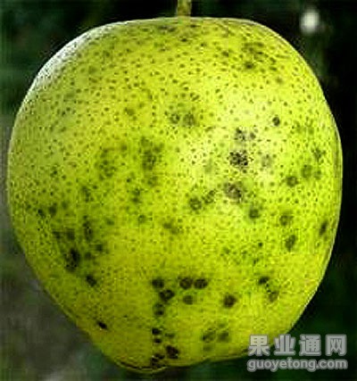 t01579d6bdcd45217b8.jpg
