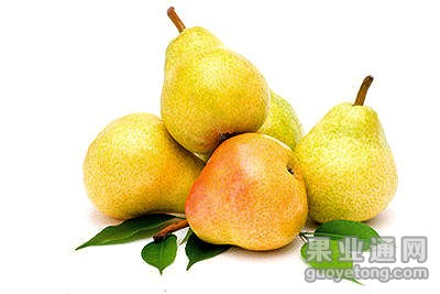 t01f2318a4e65b88d33.jpg