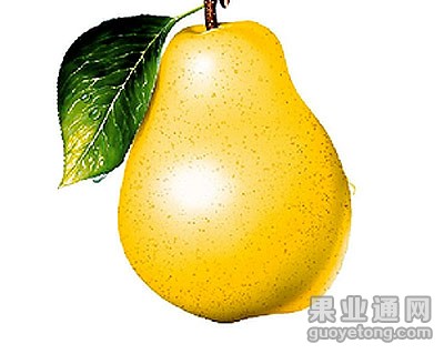 t017c43834c6085e4d5.jpg