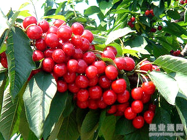 t01d15362cffca4a6b3.jpg