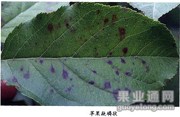 t01b187977b08e03b99.jpg