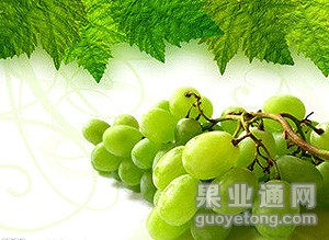 t01ce1ca0f6d2f27e48.jpg