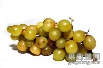 t0107f027aac5beaa7a.jpg