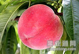 830ddf4e59a7f3c5-2908fc6dc5387b91-7769e6b72c7b3915be936bf53e49a8fb.jpg