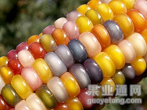 t0147a33c18eea28221.jpg