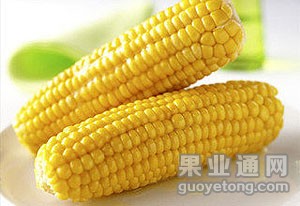 t013081dd4428987a8f.jpg
