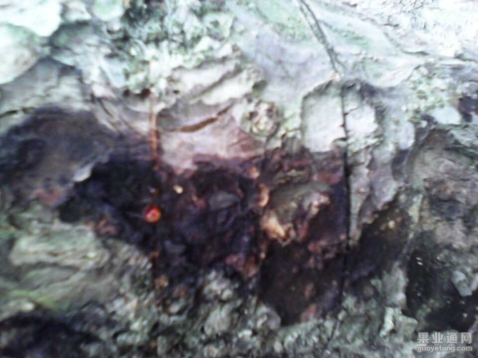 QQ图片20140621155940.jpg