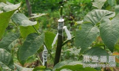 t0119ff9a0029c6cad7.jpg