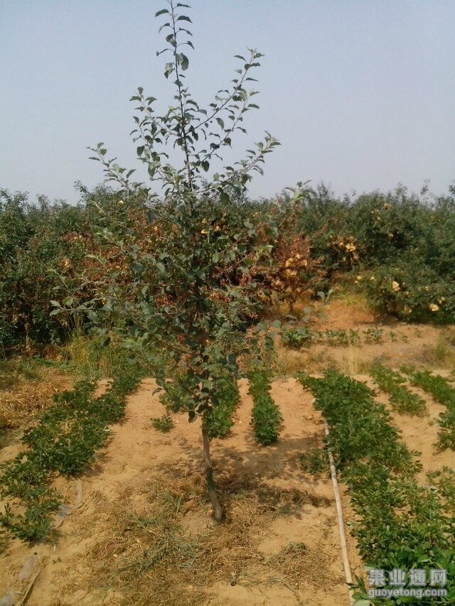 QQ图片20140713110805.jpg