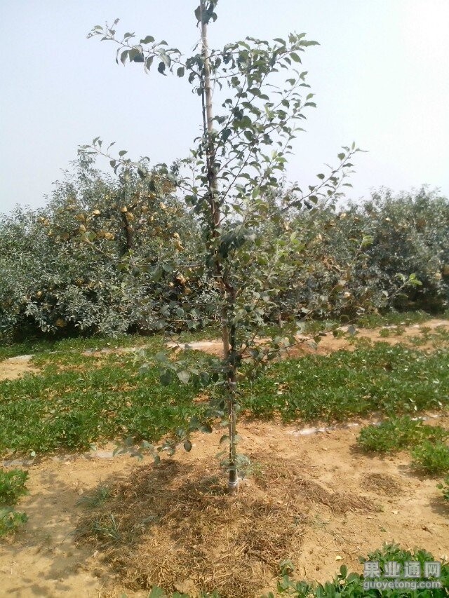 QQ图片20140713110812.jpg