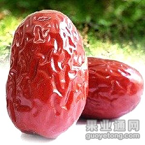 t0106e42305ea531ea5.jpg