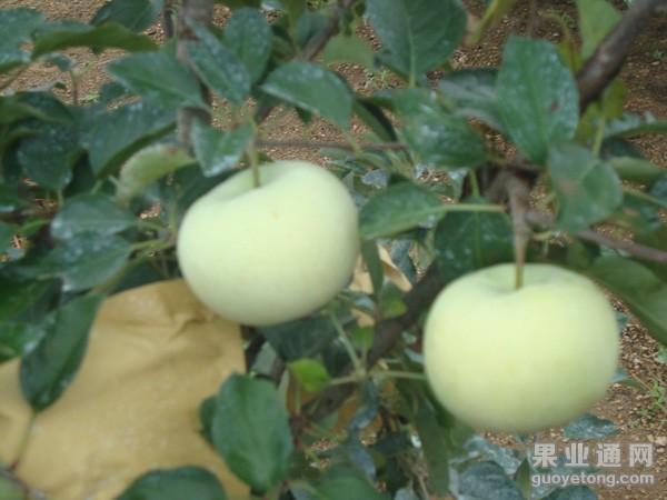 QQ图片20140723095341.jpg