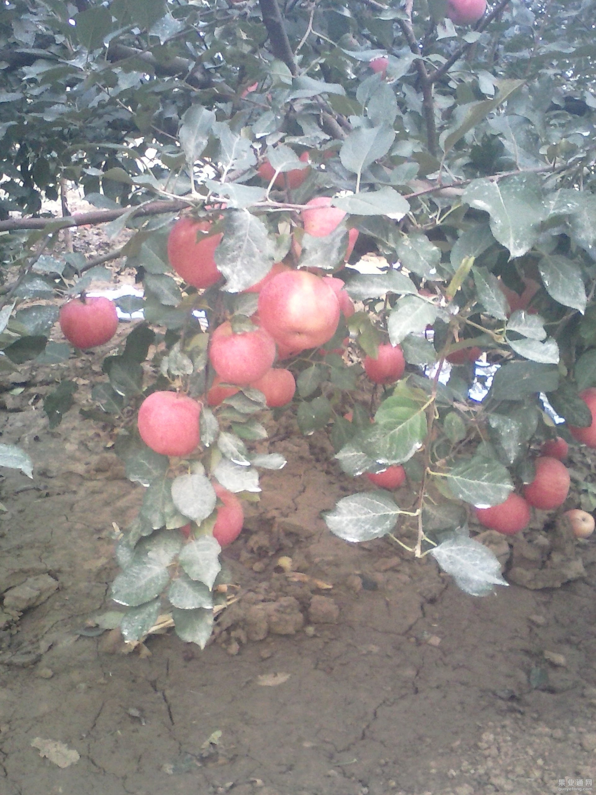 IMG_20131101_070137.jpg