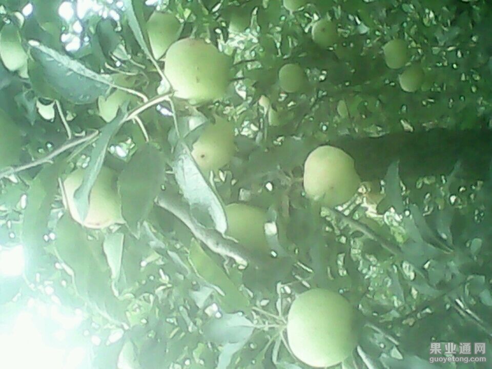 QQ图片20140804135644.jpg