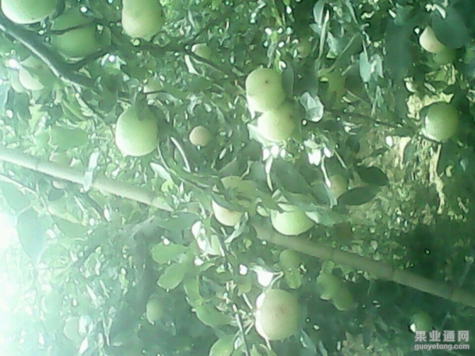 QQ图片20140804135551.jpg