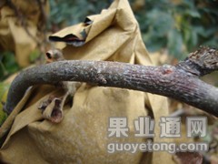 DSC01542_副本.jpg