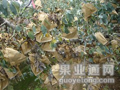 DSC01541_副本.jpg