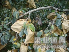 DSC01538_副本.jpg