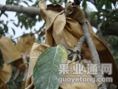 DSC01537_副本.jpg