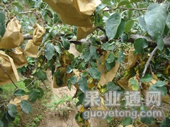 DSC01539_副本.jpg