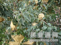 DSC01540_副本.jpg