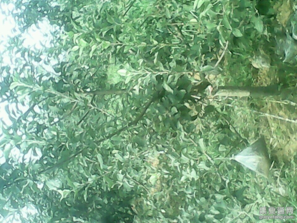 QQ图片20140805211014.jpg