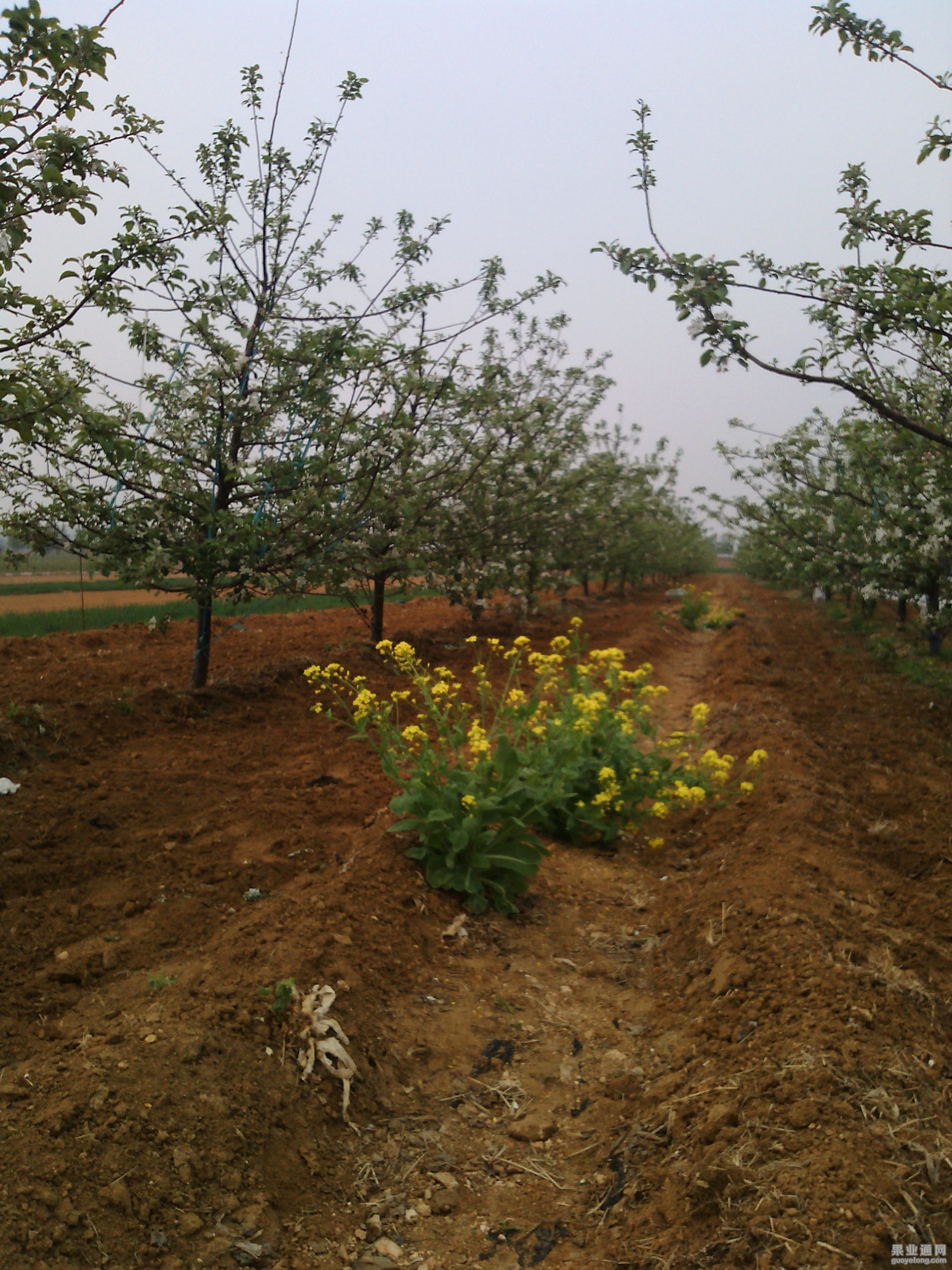 IMG20140421092643.jpg