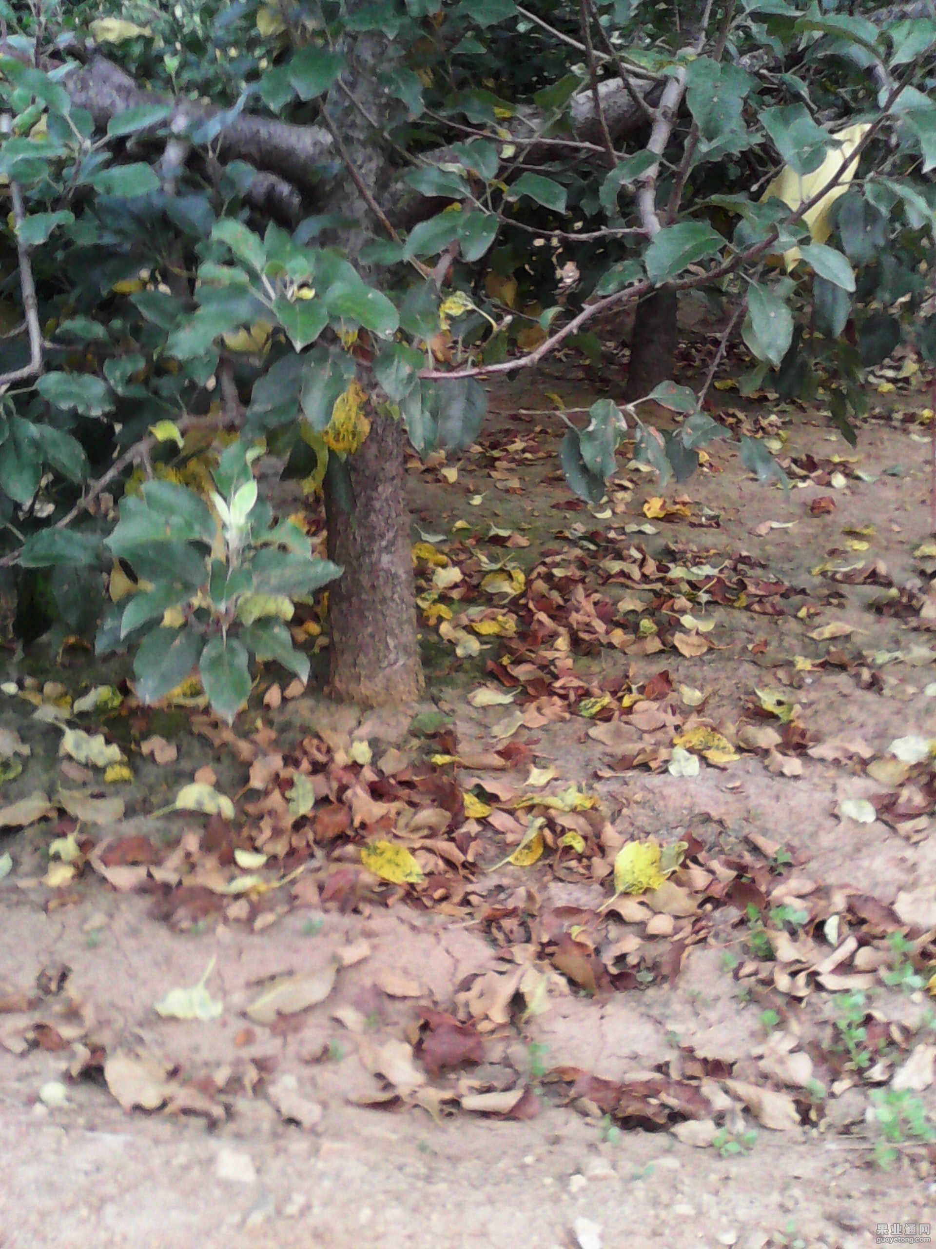 IMG_20130606_000240.jpg