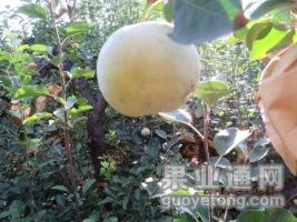 QQ图片20140813165635.jpg