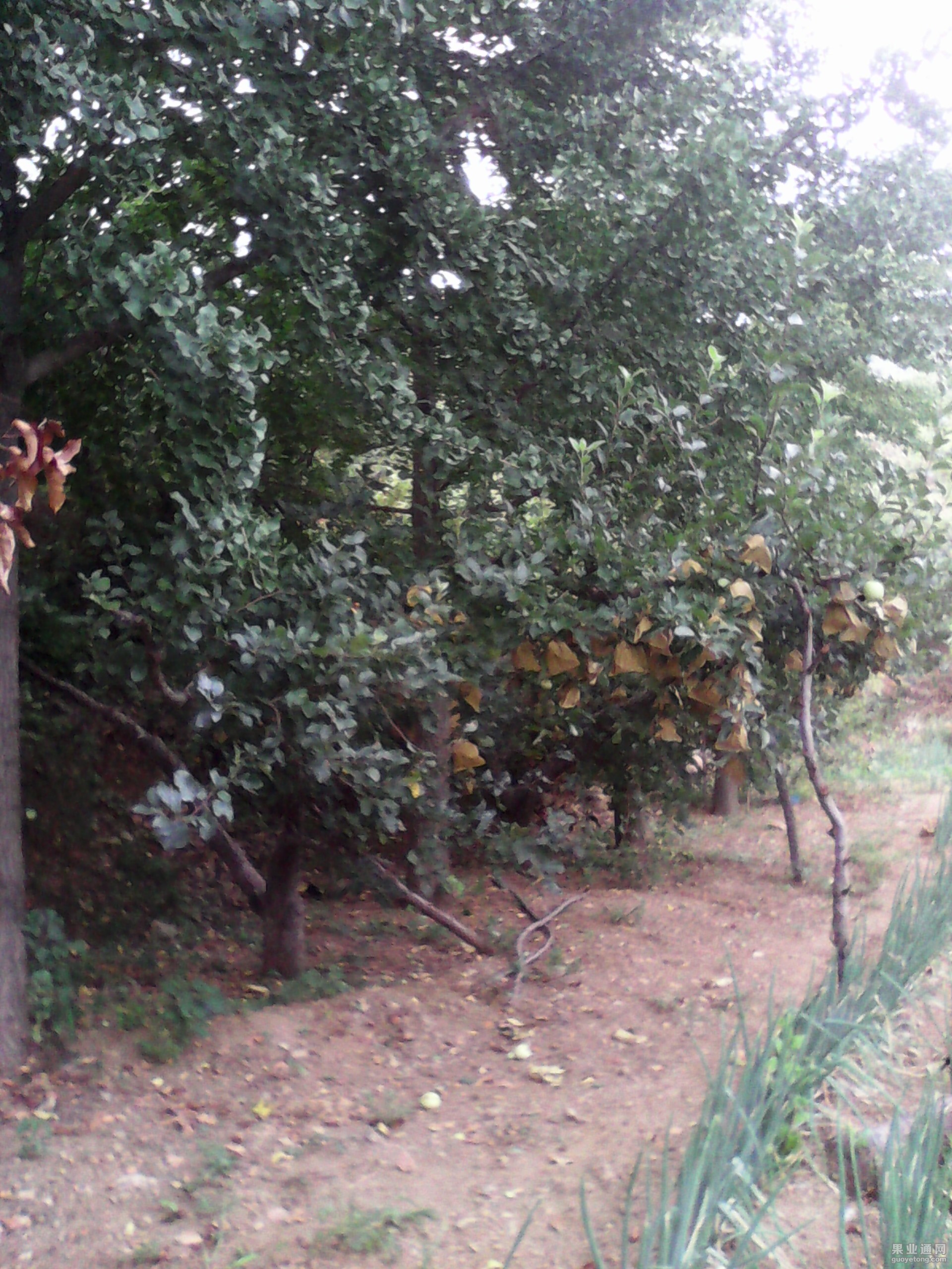 IMG_20130606_003206.jpg