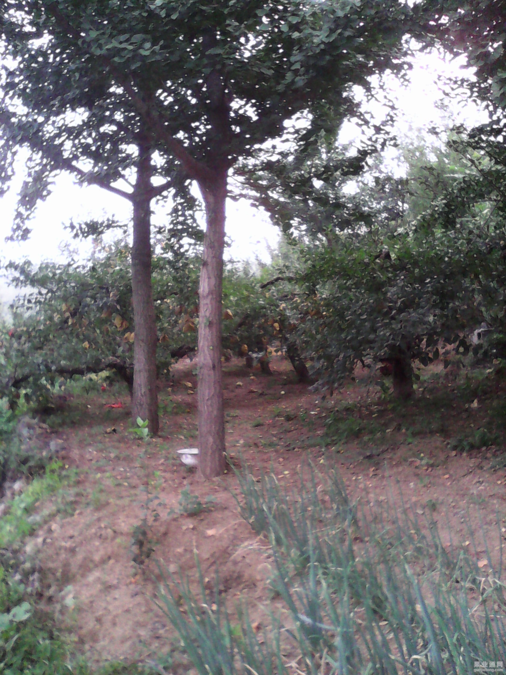 IMG_20130606_003319.jpg